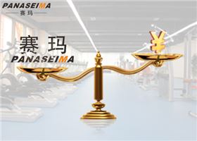 佛山市賽瑪電子科技有限公司