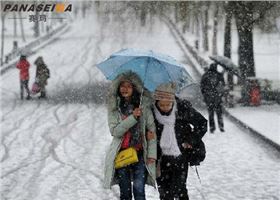 佛山市賽瑪電子科技有限公司