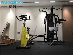 賽瑪健身器材11.jpg