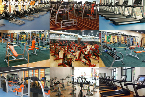 佛山市賽瑪電子科技有限公司