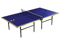 雙魚乒乓球臺 雙魚乒乓球臺