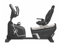 豪華臥式車PSM-R007 豪華臥式車PSM-R007