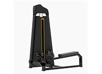 坐式低拉背訓(xùn)練器 AC-C006 坐式低拉背訓(xùn)練器 AC-C006