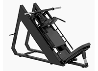 倒蹬順蹬二合一訓(xùn)練器 AC-C066 倒蹬順蹬二合一訓(xùn)練器 AC-C066